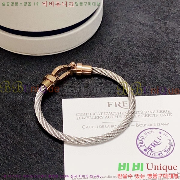 ������ ���� FR31077-1 ������ (�����̰� ȿ�� ����)