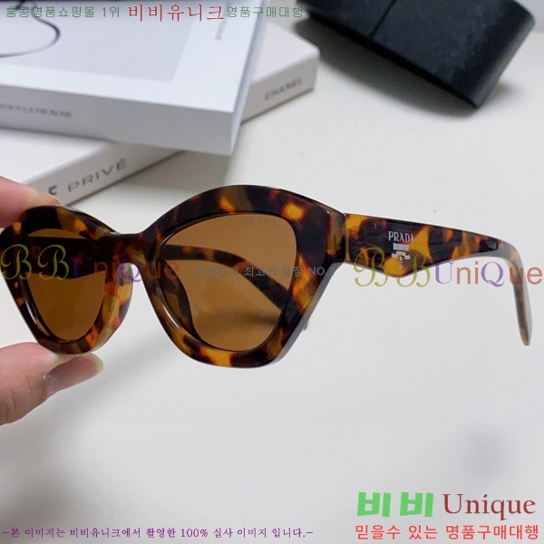 ����� ���۶� P2819066-2