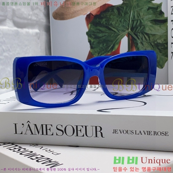 ������ü ���۶� VE102294-2