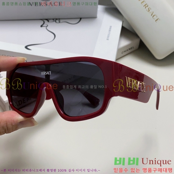 ������ü ���۶� VE102296-2