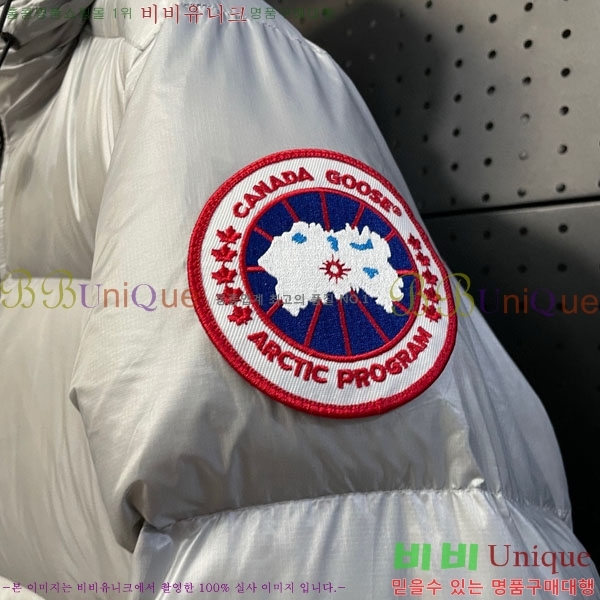 �������� ĳ���ٱ��� �ٿ� �е� CAG23088-2