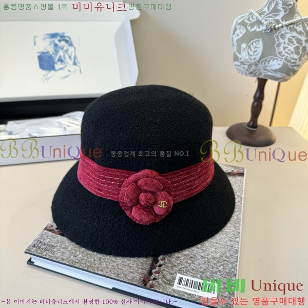 ��* ���� CH2520899-1