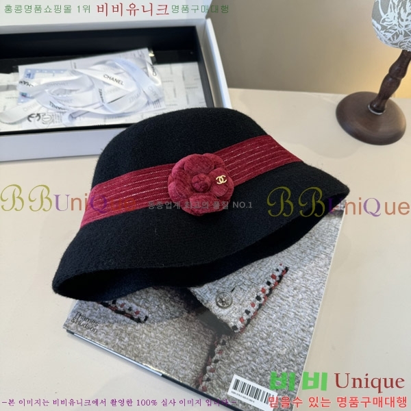 ��* ���� CH2520899-1