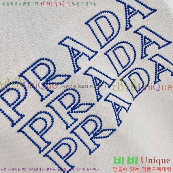 ���� ����� ������ PA171265-1