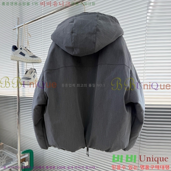 ���� ���װ�����Ÿ �淮 �е� BV242879