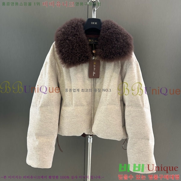 ���� �η�**�� �ٿ� �е� LP37123044-1