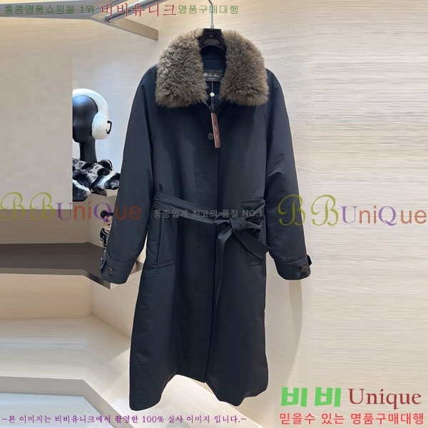 ���� �η�**�� �ٿ� �е� LP3734056-7