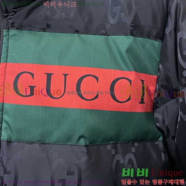 ���� ���� �ٿ� �е� GU538651