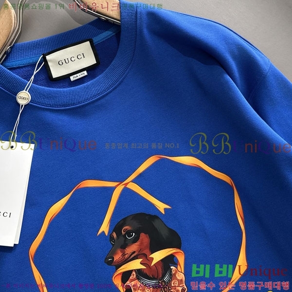 ���� ���� ������ GU134717-1