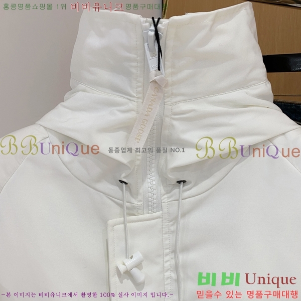 ���� ĳ���ٱ��� �ٿ� �е� CAG157491-2