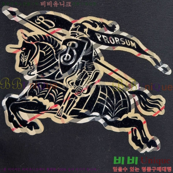 ���� ������ ������ B8452725-2