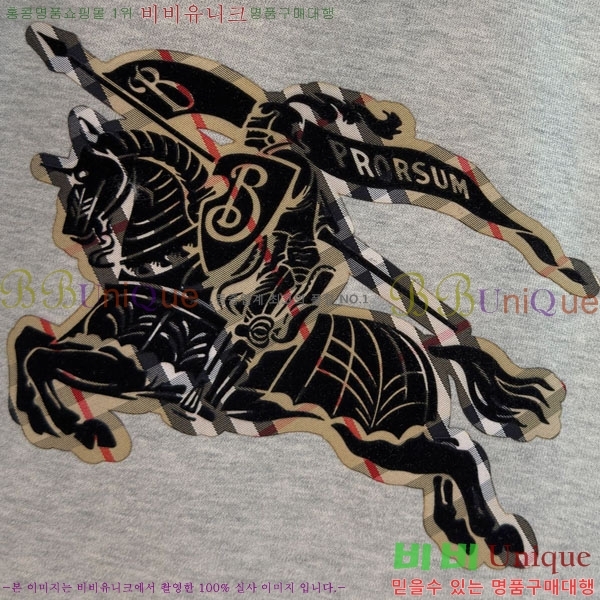 ���� ������ ������ B8452725-3