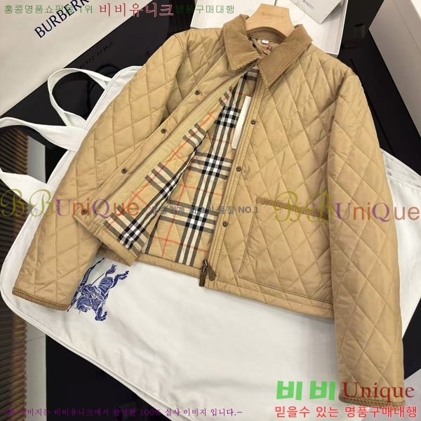 ���� ������ �淮 �е� BU438276